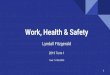 Work, Health & Safety - WordPress.com · 2019. 2. 18. · Risk Management Is the process used to identify, prioritise and control risks, by eliminating or minimising the probability