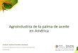 Presentación de PowerPoint...Agroindustria de la palma de aceite en América Andrea Carolina González Cárdenas . Directora de Planeación Sectorial y Desarrollo Sostenible . 