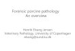 Forensic porcine pathology An overview...Forensic pathology 2004-2016: number of animals 19/01/2018 5 0 200 400 600 800 1000 1200 1400 Horse Pig Ruminant Dog, cat and rabbit Other