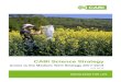CABI Science Strategy...5 CABI SCIENCE STRATEGY 2017 - 2019 6 Executive Summary CABI’s mission is to ‘improve people’s lives worldwide by providing information and applying scientific
