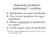 Simplest synthetic pathways*---outline · 2020. 12. 30. · • Organs are made up of tissues. • Products of the synthesis can be tissues or organs. • Almost all organs are essentially
