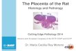 The Placenta of the Rat Comparative morphology of the placenta 29.08.2014 Cutting Edge Pathology 2014
