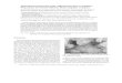 Hydrothermal Sintering under Mild Temperature Conditions: …znaturforsch.com/s65b/s65b1038.pdf · 2016. 6. 28. · 1040 K. Yanagisawa et al. · Preparation of Calcium-deﬁcient
