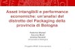 Asset intangibili e performance - Unioncamere Emilia-Romagna · 2014. 7. 7. · Asset intangibili I marchi registrati Il marchio è un segno che permette di distinguere i prodotti