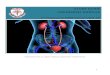 STUDY GUIDE UROGENITAL MODULE - Khyber Medical ......2020/07/05  · Autoregulation of GFR and Define autoregulation of renal 10 renal blood flow blood flow and glomerular filtration