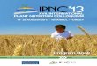 IPNC'13 · 2016. 12. 27. · intercropped durum wheat and faba bean as affected by phosphorus fertilizer history Xiaoyan Tang, France Magnesium deficiency increases susceptibility