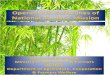 National Bamboo Mission - Page of · 2019. 6. 7. · The National Bamboo Mission (NBM) was launched as a Centrally Sponsored Scheme in 2006-07 and was subsumed under Mission for Integrated