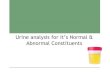 Urine analysis for it’s Normal & Abnormal Constituentskanpuruniversity.org/pdf/urine-analysis_140420.pdf · Composition of Normal Urine •Water 96% •Urea 2% •Uric acid •Creatinine