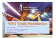 WTO Trade Facilitation - IPPC · 2020. 6. 23. · WTO Trade Facilitation The Trade Facilitation Agreement ... Section I - TF Measures Transparency and Appeals ... Sheri Rosenow WTO