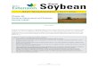 Chapter 40: Combine Adjustments and Soybean Harvest Losses · 2020. 3. 10. · Soybean. iGrow. BEST MANAGEMENT PRACTICES. Chapter 40: Combine Adjustments and Soybean Harvest Losses