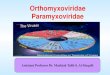 PowerPoint Presentation - MM 445 Lecture 3 lecture-A- of... · 2018. 1. 5. · Orthomyxoviridae Paramyxoviridae Assistant Professor Dr. Mushtak Talib S. Al-Ouqaili. Orthomyxovirus