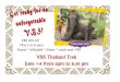 VBS Thailand Trek June 1-4 from 6pm to 8:30 pmschools.olatheschools.com/.../2015/05/VBS-Thailand-Trek.pdf · 2015. 5. 12. · VBS kick-off May 31st at 6pm Games * inflatable * dinner