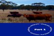 ABOUT THE MARANOA REGION · 2020. 2. 1. · Part 1 - Our region 9 2016 Census Maranoa Queensland Australia People (> 15 yrs) who did voluntary work through an organisation or group
