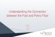 Understanding the Connection between the Foot and Pelvic Floor€¦ · • Author of Anatomy Trains James Earl • Writer, Lecture, and bodywork practitioner in myofascial release