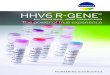 HHV6R R-GENE 9315783...2 years old, causing roseola infantum. After primo-infection, HHV-6 remains latent in various cells including monocytes, macrophages, endothelial cells, bone