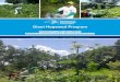Giant Hogweed Program - New York State Department of ......In 2019, GH staff responded to 1,598 phone calls and e-mails to the GH information line. In addition, program staff and partners