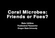 Coral Microbes: Friends or Foes?...Coral Microbes: Friends or Foes? Blake Ushijima Postdoctoral Researcher Oregon State University Talking Points I. The coral microflora A. What is