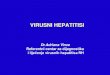 Istovremena zaraza HIV-om i virusima hepatitisahuhiv.hr/wp-content/uploads/2015/12/Virusni-hepatitisi.pdf · 2015. 12. 15. · virusni hepatitisi ... • akutni • kroniČni. akutni