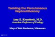 Tackling the Percutaneous Nephrolithotomy - SWIU · 2017. 5. 5. · Tackling the Percutaneous Nephrolithotomy Amy E. Krambeck, M.D. ... Staghorn Calculi: A Single Center’s Experience