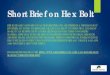 Short Brief on Hex Bolt