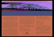 SECRETS CAP CANA RESORT & SPA23.21.66.147/mediasite/documents/2016/02/seccc-fs.pdf · 2020. 10. 27. · SECRETS CAP CANA RESORT & SPA Facing the clear Caribbean Sea along the white