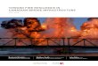 TOWARD FIRE RESILIENCE IN CANADIAN BRIDGE ......Toward Fire Resilience in Canadian Bridge Infrastructure 1 In Canada, bridge fires are becoming a growing concern due to the increasing