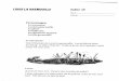 Scanned Document - Madame Warrenmadamewarren.yolasite.com/resources/L la G.pdf · 2013. 2. 8. · Le génie La ballerine La chanteuse d'opéra La fille grenouille Le narrateur: Cahier