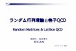 ランダム行列理論と格子格子QCDQCD - shimane-u.ac.jpランダム行列理論と格子格子QCDQCD Random Matrices & Lattice QCD 2004. 4. 6 理研 島根大・総合理工