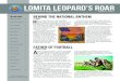 Lomita Leopard’s roar...poptropica by JEREMY P optropica is a fun game on the computer and, recently, on portable devices. Surprisingly, the game was created by Jeff Kinney, the