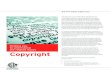 Helping you to understand Copyright Information/Copyright_B… · Helping you to understand the related issues The electronic age of information distribution has contributed greatly