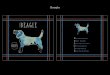 BEAGLE - Uncommon Goods · PDF file

BEAGLE Beagle. Title: 44480_Beagle Created Date: 2/24/2017 2:57:48 PM