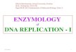 ENZYMOLOGY - Jiwaji University of DNA...3/27/2020 1 ENZYMOLOGY of DNA REPLICATION - I SOS in Biochemistry, Jiwaji University, Gwalior M.Sc. II Semester (2019-20) Paper BCH 205: Fundamentals