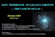 AGN FEEDBACK IN GALAXY GROUPSmyriam/Gitti_Chandra.pdf · 2010. 11. 10. · SHOCK FRONT − Chandra SB profile Myriam Gitti — Chandra’s First Decade of Discovery — 23 September