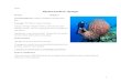 mrmurraysci.weebly.com · Web viewName: Phylum Porifera: Sponges Domain: Kingdom: Learning Objectives: *Refer to Kingdom Animalia Unit Plan Text page: 370 *This is required reading.-Sponges