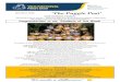 Wandong Primary School - The Puggle Post’ · 2020. 3. 25. · “Wandong Primary School ... ‘The Puggle Post’ Reminders Wednesday 25th March - Curriculum Day . (no students