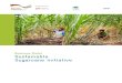 Sustainable Sugarcane Initiative - birdlucknow.inSustainable Sugarcane Initiative (SSI) 3.1 Brief Overview of SSI SSI is a method of sugarcane production which involves using less