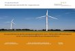 Investitionsrechnungsvergleich von WindkraftanlagenI Betriebswirtschaft für Ingenieure Investitionsrechnungsvergleich von Windkraftanlagen mit unterschiedlichen Kapazitäten Denys