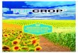 Îngră˚ământ natural superconcentrat pentru fertilizare foliară · 2021. 2. 19. · TopCrop/ tratament 1-2 tratamente Floarea soarelui/ 1000 ml TopCrop Porumb/ Soia 16-22% Mod