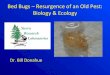 Bed Bugs – Resurgence of an Old Pest: Biology & Ecologycemariposa.ucanr.edu/files/158777.pdf• 1960-2000: Low incidence of bed bugs world wide • 1990’s: Pyrethroids insecticides