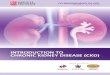 INTRODUCTION TO CHRONIC KIDNEY DISEASE (CKD) CHRONIC KIDNEY DISEASE 4 De¯¬¾ niti on Chronic kidney disease