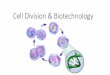 Cell Division & Biotechnology - Koreen's Science Page · 2018. 9. 7. · Cell Division - Learning Goal •Distinguish between cell division during asexual reproduction (mitosis) and