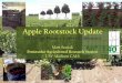 Apple Rootstock Update - 2021 Conference · 2019. 11. 30. · NC140 Completed plantings 2006 Apple Replant 2003 Apple (Golden Delicious) Physiology 2003 Dwarf Apple Rootstock 2002