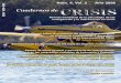 CUADERNOS DE · 2017. 4. 27. · 3 CUADERNOS DE CRISIS La revista electrónica con contenidos para los profesionales de la psicología de las emergencias y la intervención en crisis