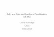 Ash, and Oak and Southern Pine Beetles Oh My! · Ash, and Oak, and Southern Pine Beetles, Oh My! Claire Rutledge CAES . FHW 2019