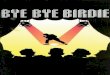 WAOS is a musical theatre company based in Woking, Surrey, UK.waos.info/.../2015/11/2006_WAOS_Programme_Bye_Bye_Birdie.pdf · 2015. 11. 24. · "Bye Bye Birdie" is Paul's first production