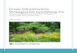 Green Infrastructure Strategies for Lynchburg, Virgina Lyncburg Report.pdfGreen infrastructure planning is a framework for assessing and valuing environmental assets. Green infrastructure
