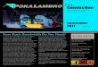 Poka Lambro - Poka Lambro - The Connection · 2018. 1. 24. · examples would be smartphones, tablets, software applications, and anti-virus programs that automatically update or