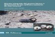 Manejo integrado del · 2019. 3. 19. · Manejo integrado del gusano blanco o bicho torito (Diloboderus abderus Sturm.) en los cultivos y pasturas de ciclo invernal | Luciano Zubiaga