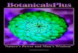 Nature’s Power and Man’s Wisdom - BotanicalsPlusBP—Biopeptide SC Saccharomyces/Selenium Ferment Liquid Antioxidant, Skin Protectant, Healing, Anti-Wrinkle BP—Biopeptide ZN