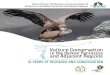 Vulture Conservation in the Balkan Peninsula and Adjacent ...Vulture Conservation in the Balkan Peninsula and Adjacent Regions 3 Egyptian Vulture (Neophron percnopterus) / photo Angel